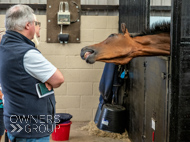 AH040924-61 - Anthony Honeyball Stable Visit